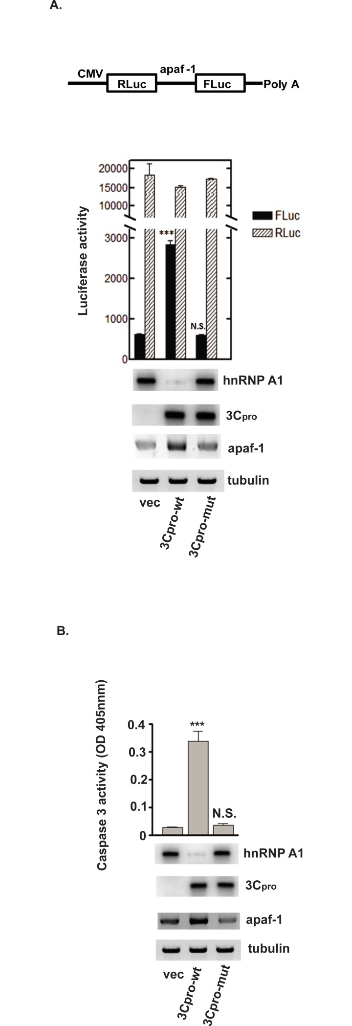 Fig 5