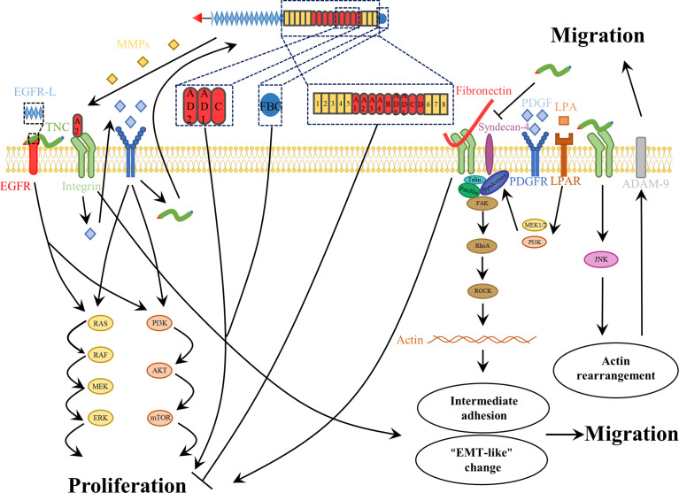 Figure 4