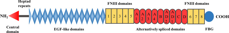 Figure 1