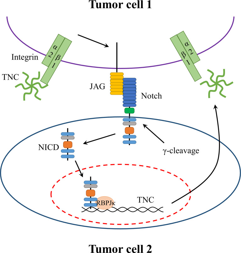 Figure 2