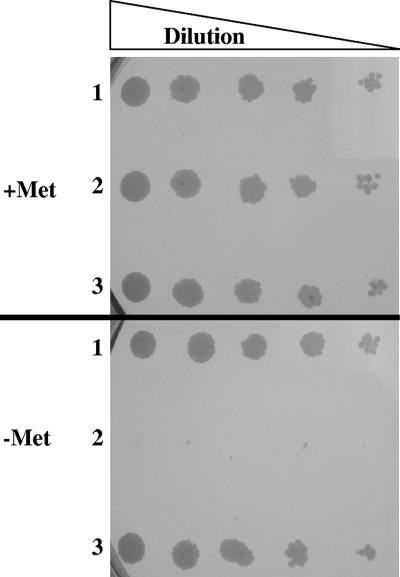 FIG. 3.