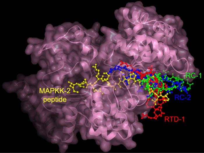 FIGURE 6