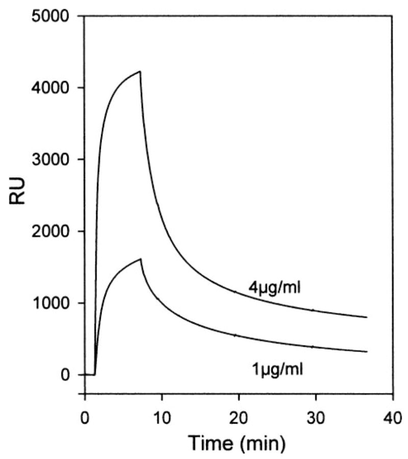 FIGURE 3
