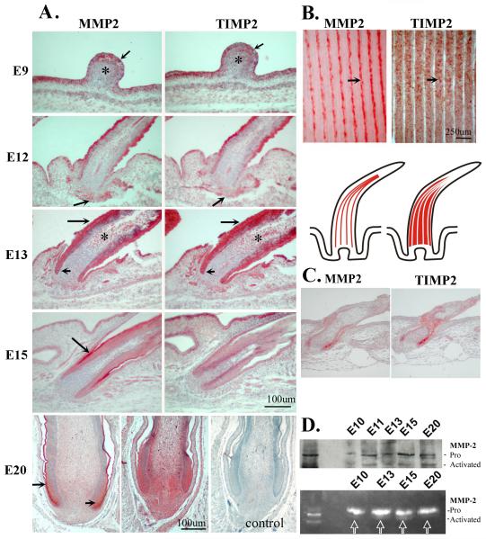 Fig.2