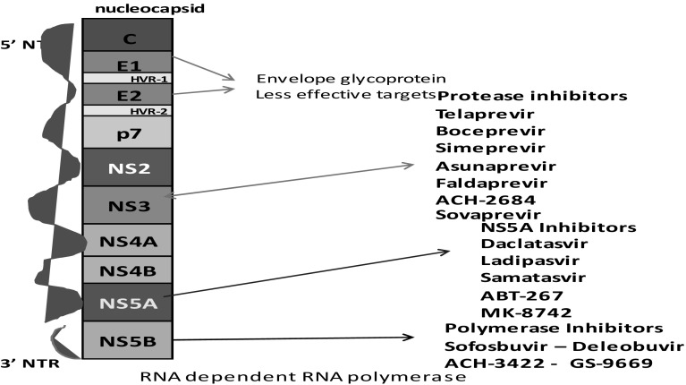 Fig. 3