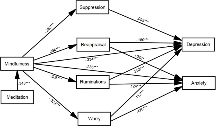 FIGURE 1