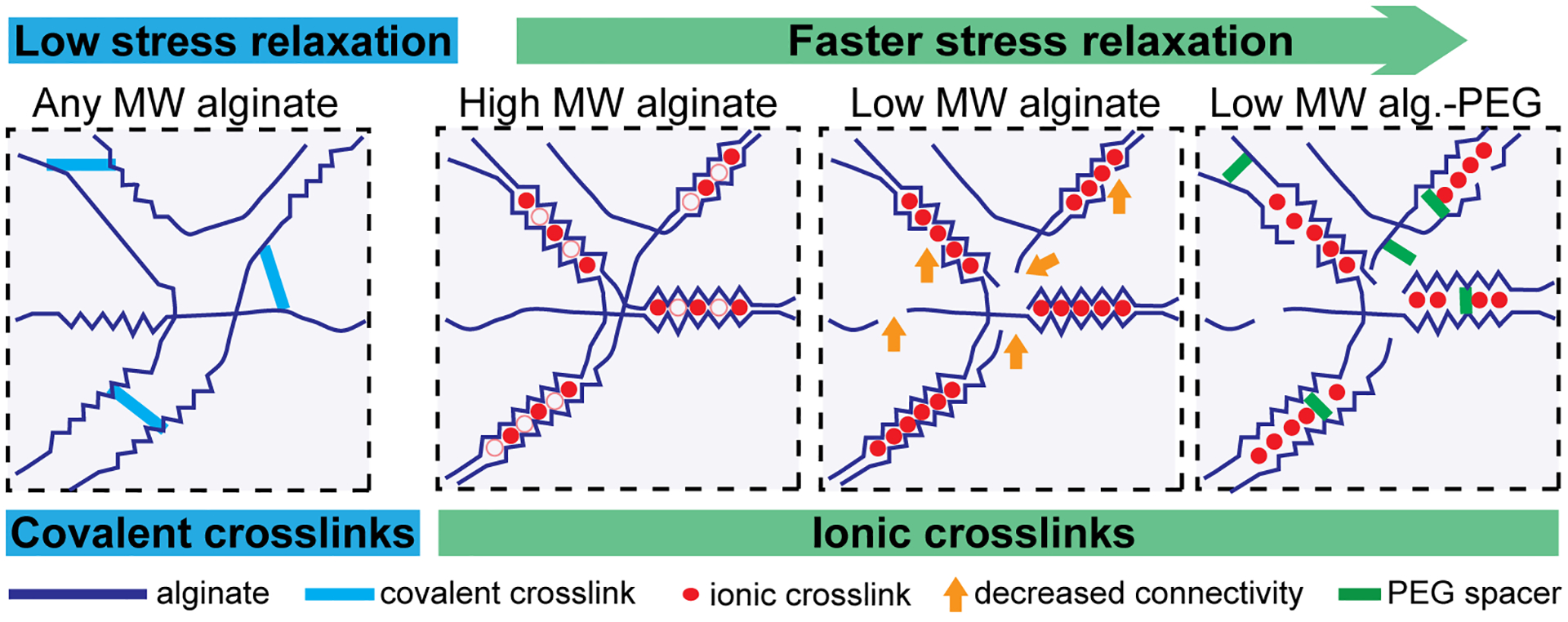 Figure 6: