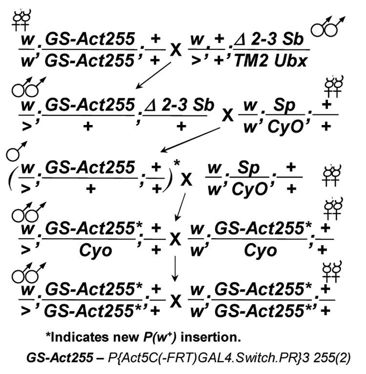 Fig. 9