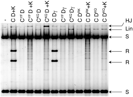 Figure 4.