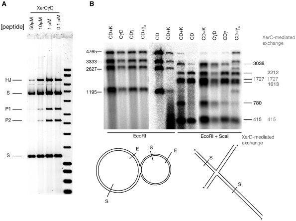 Figure 5.