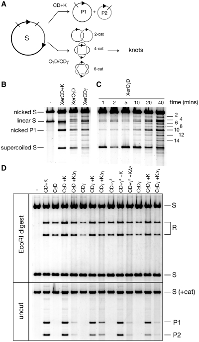 Figure 2.