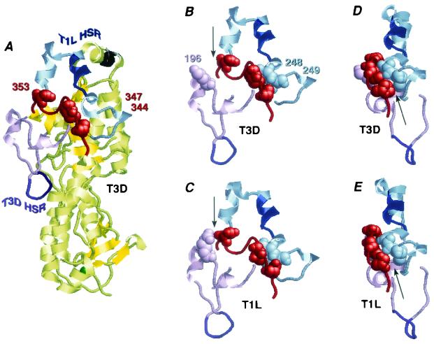 FIG. 9.