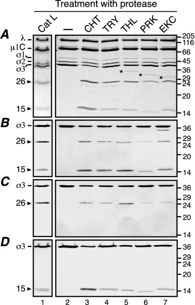 FIG. 5.