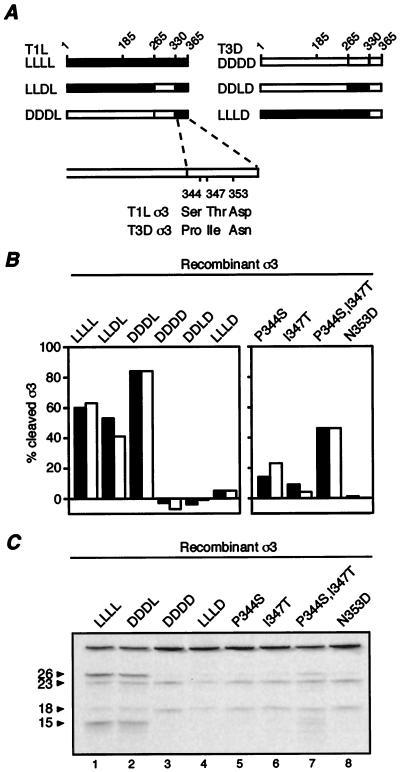 FIG. 8.