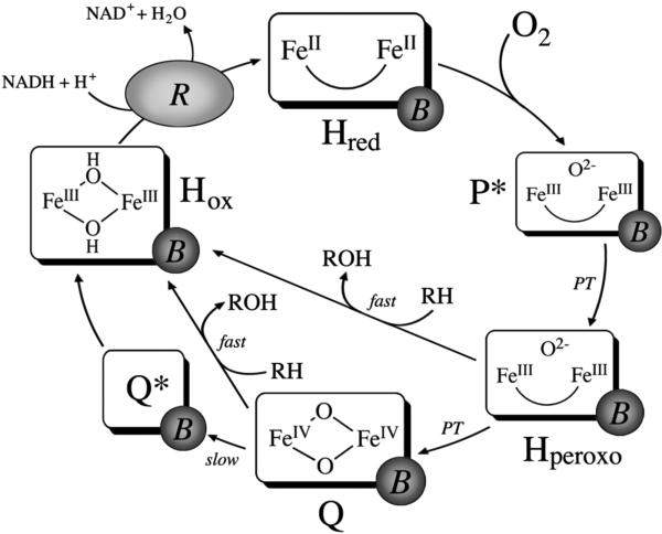 Scheme 1