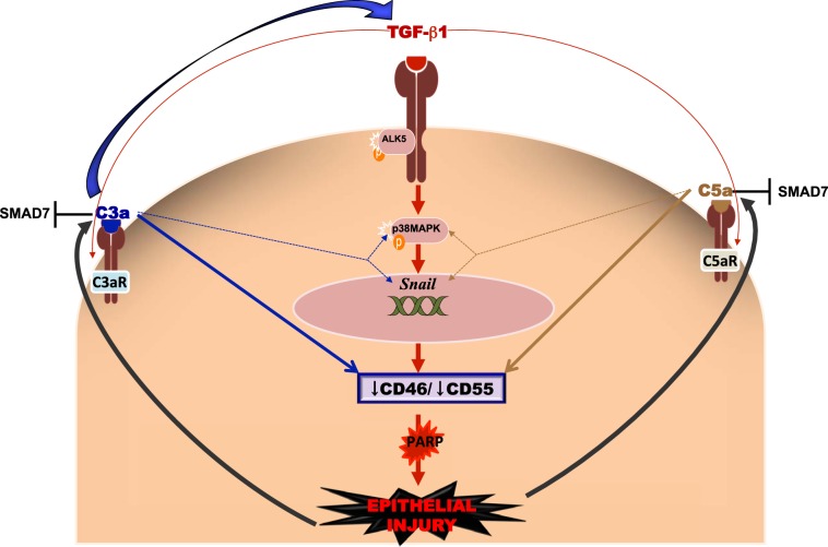 Figure 9.