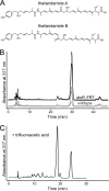 FIG 3