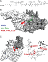 FIG 5