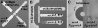 FIG 6