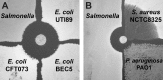 FIG 7
