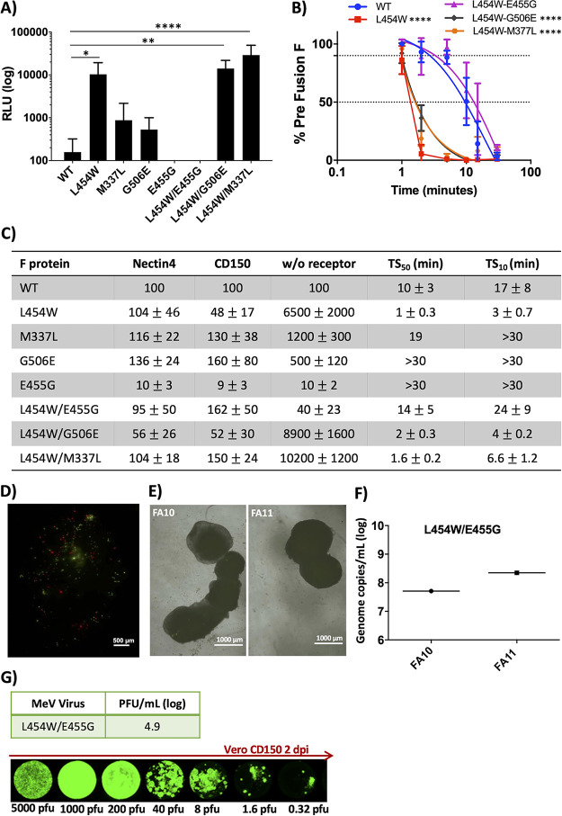 FIG 4