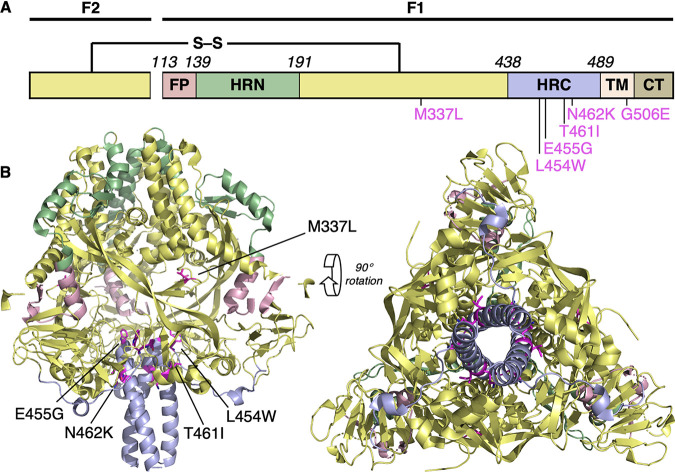 FIG 1