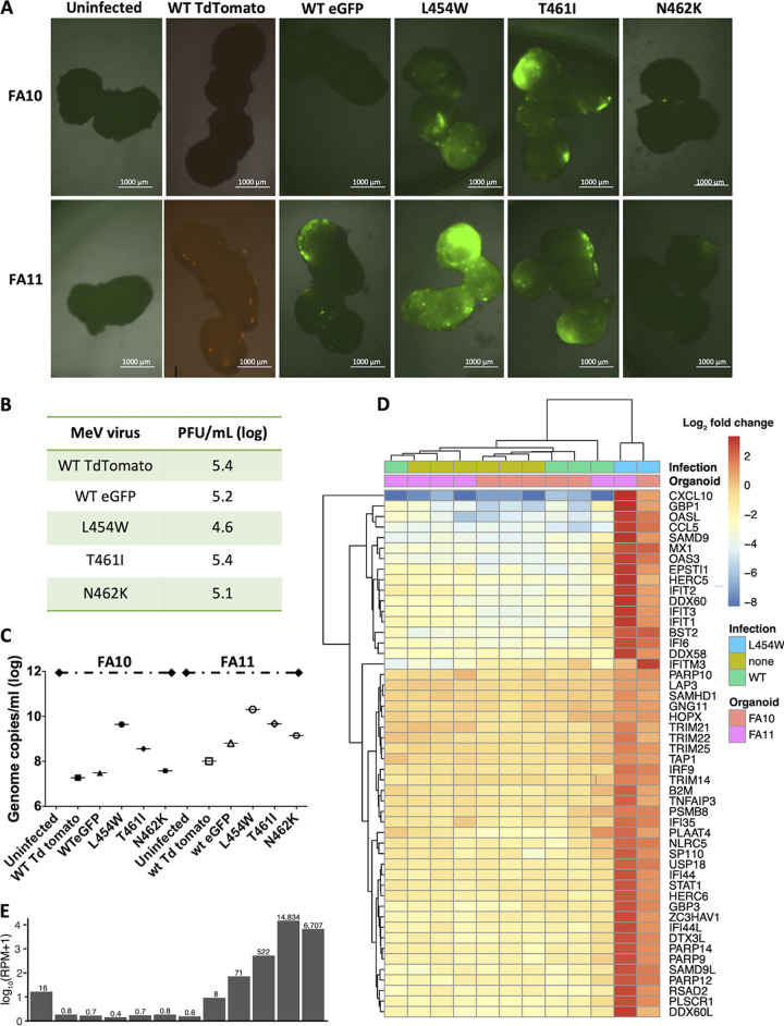 FIG 3