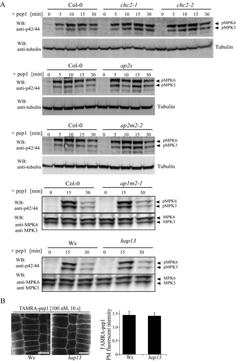 Fig. S9.