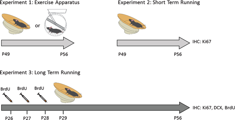 Fig.1