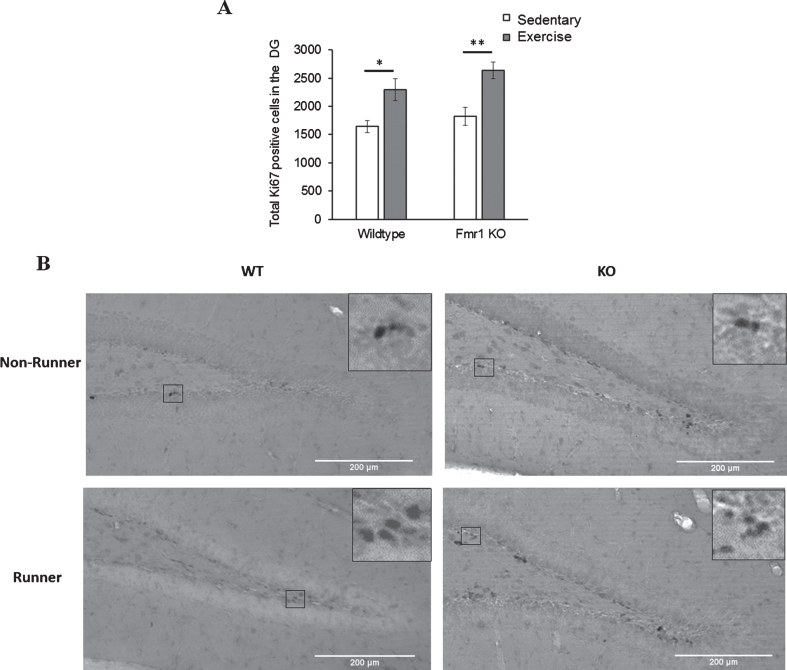 Fig.4