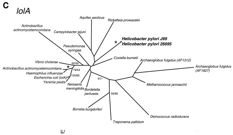 FIG. 1