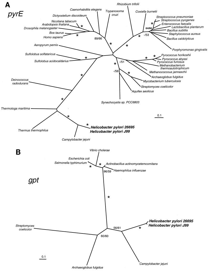 FIG. 1