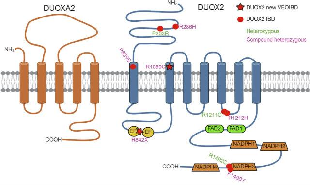 FIGURE 3