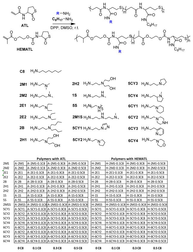 Scheme 2