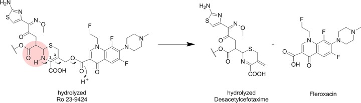 FIG 6