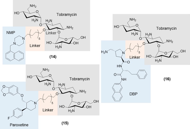 FIG 10