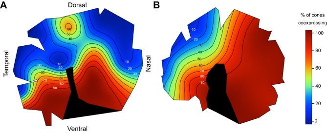 Fig. 5.