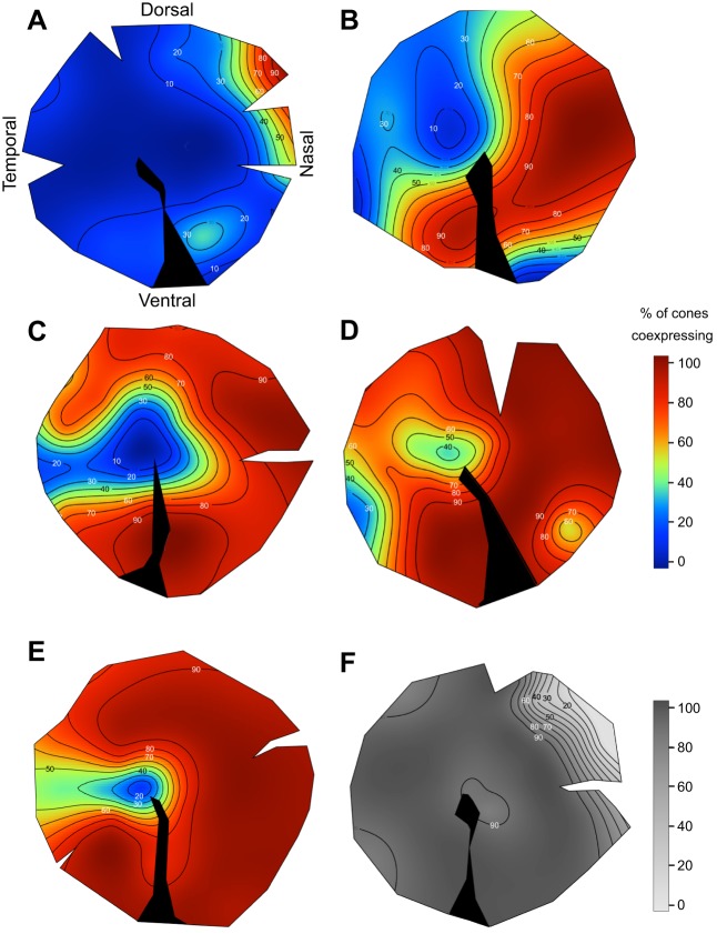 Fig. 4.