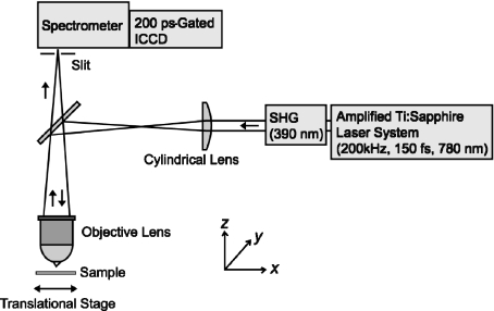 Fig. 1