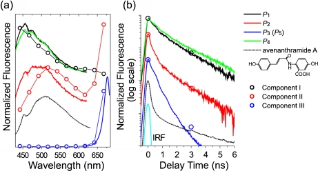 Fig. 3