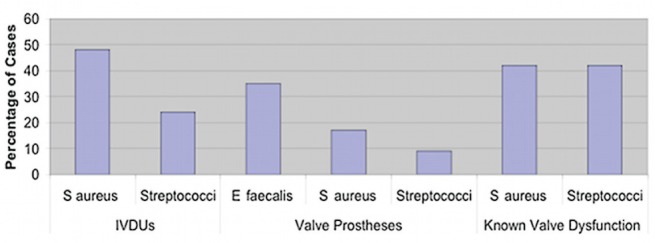 Figure 3)