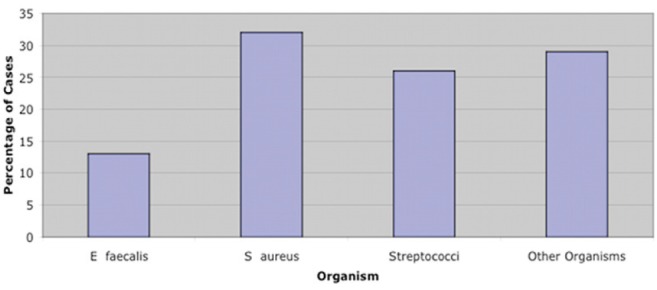 Figure 4)