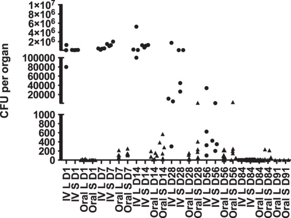 FIG 3