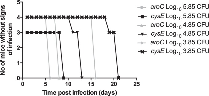 FIG 2