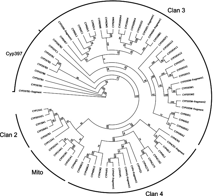 Fig. 6