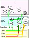Figure 17