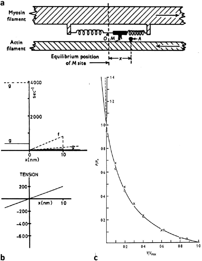 Figure 13.