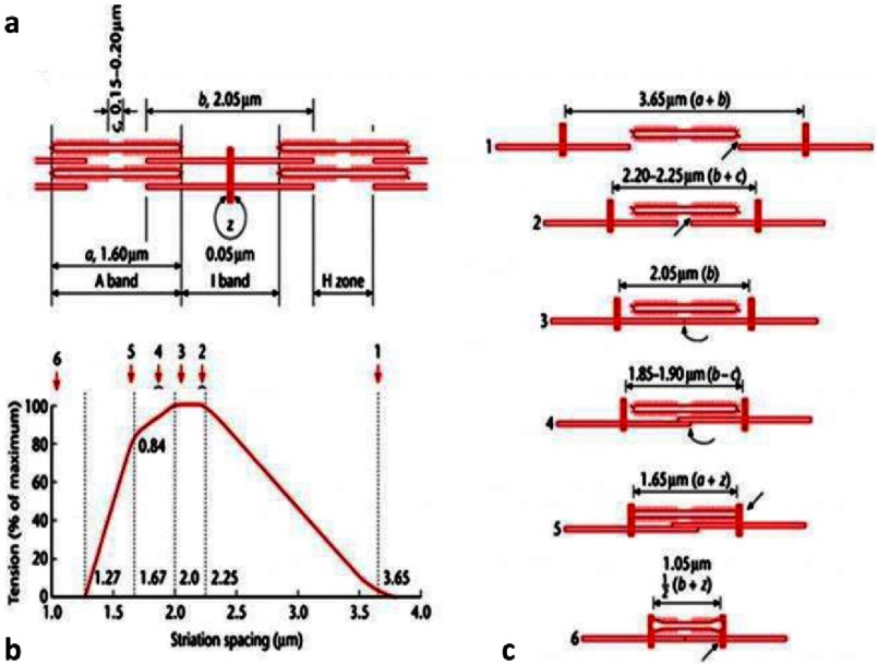 Figure 15.