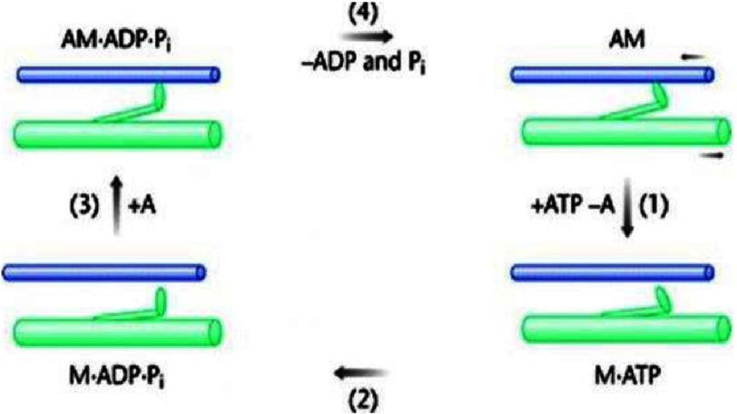 Figure 14.