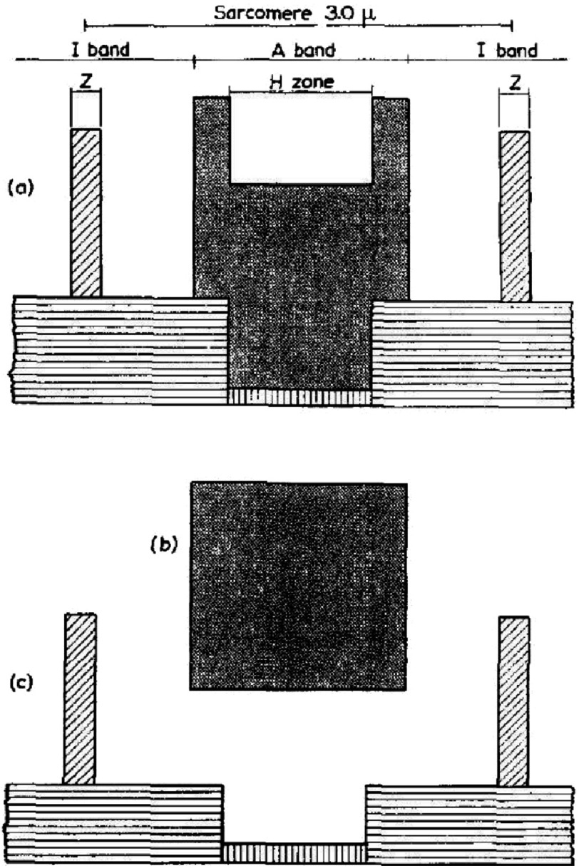 Figure 11.